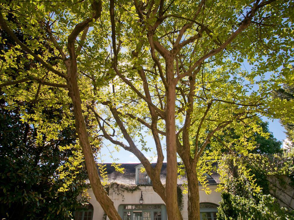 La Maison Jules Τουρ Εξωτερικό φωτογραφία